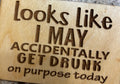 Magnet Looks Like I May Accidentally Get Drunk On Purpose Today