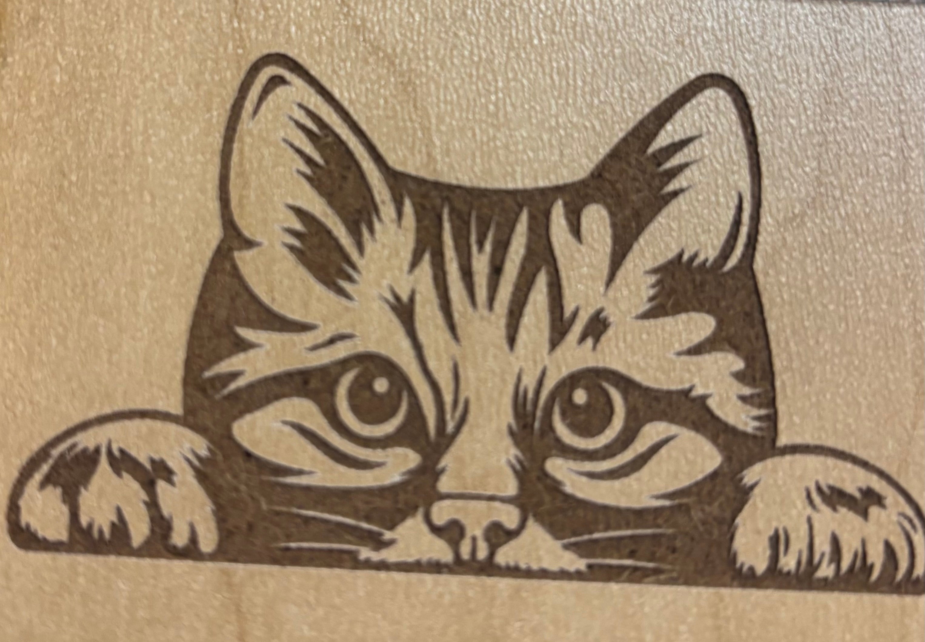 Magnet Picture of a Cat