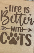 Magnet Life Is Better With Cats