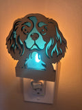 Night Light Cavalier with blue background