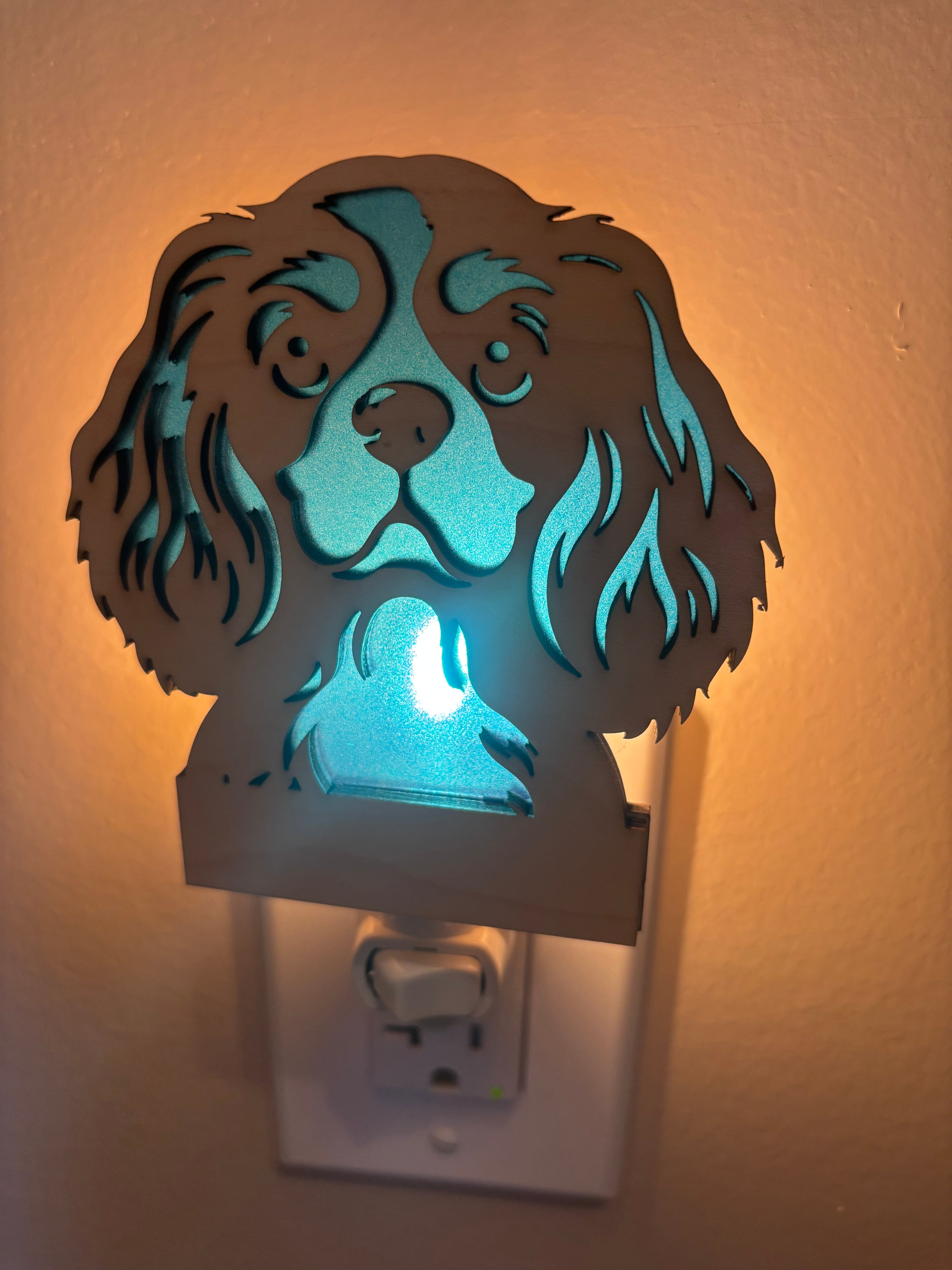 Night Light Cavalier with blue background
