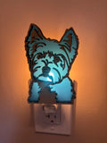 Night Light Small Dog with blue background