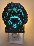Night Light Labradoodle with blue background
