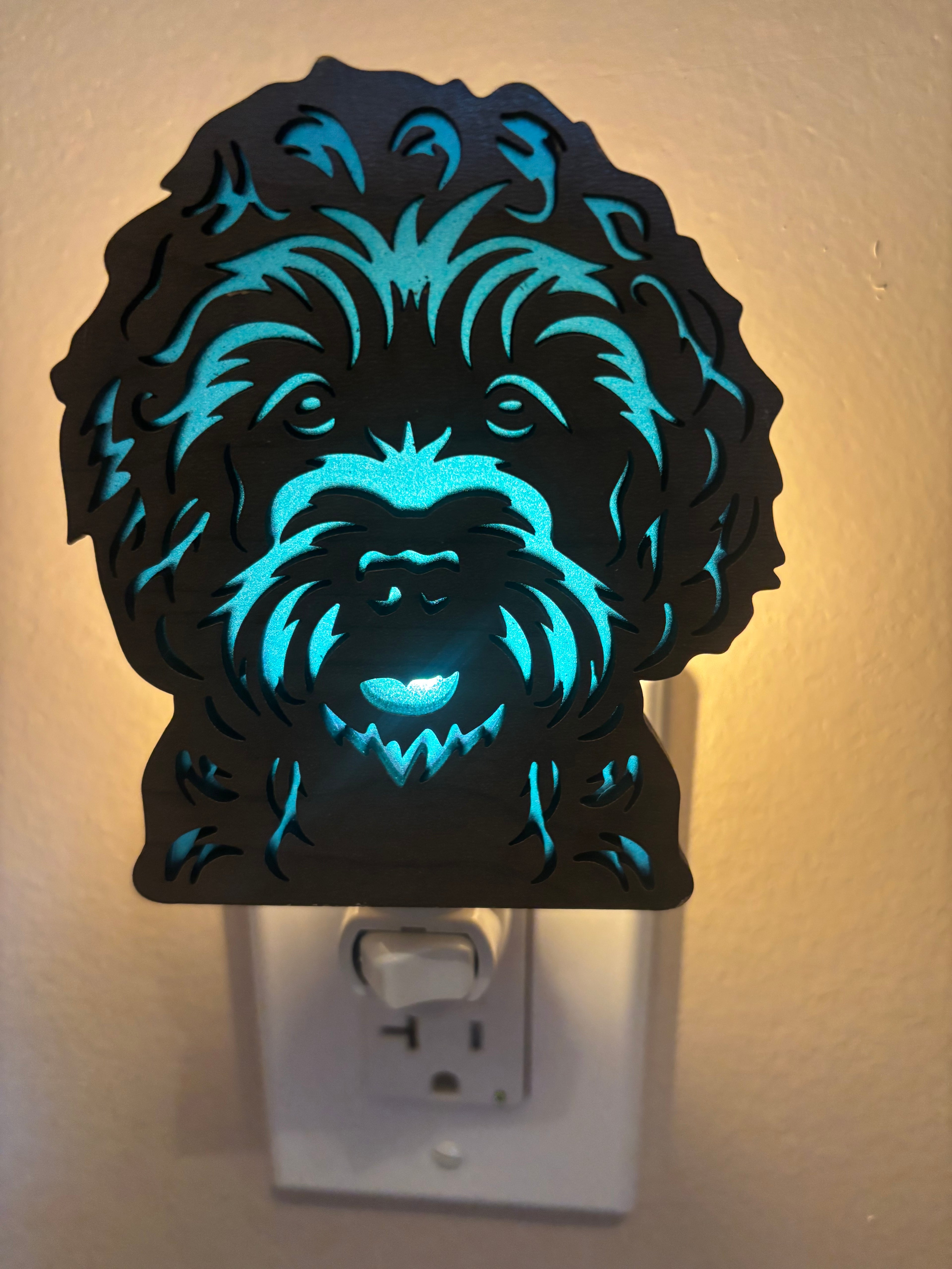 Night Light Labradoodle with blue background