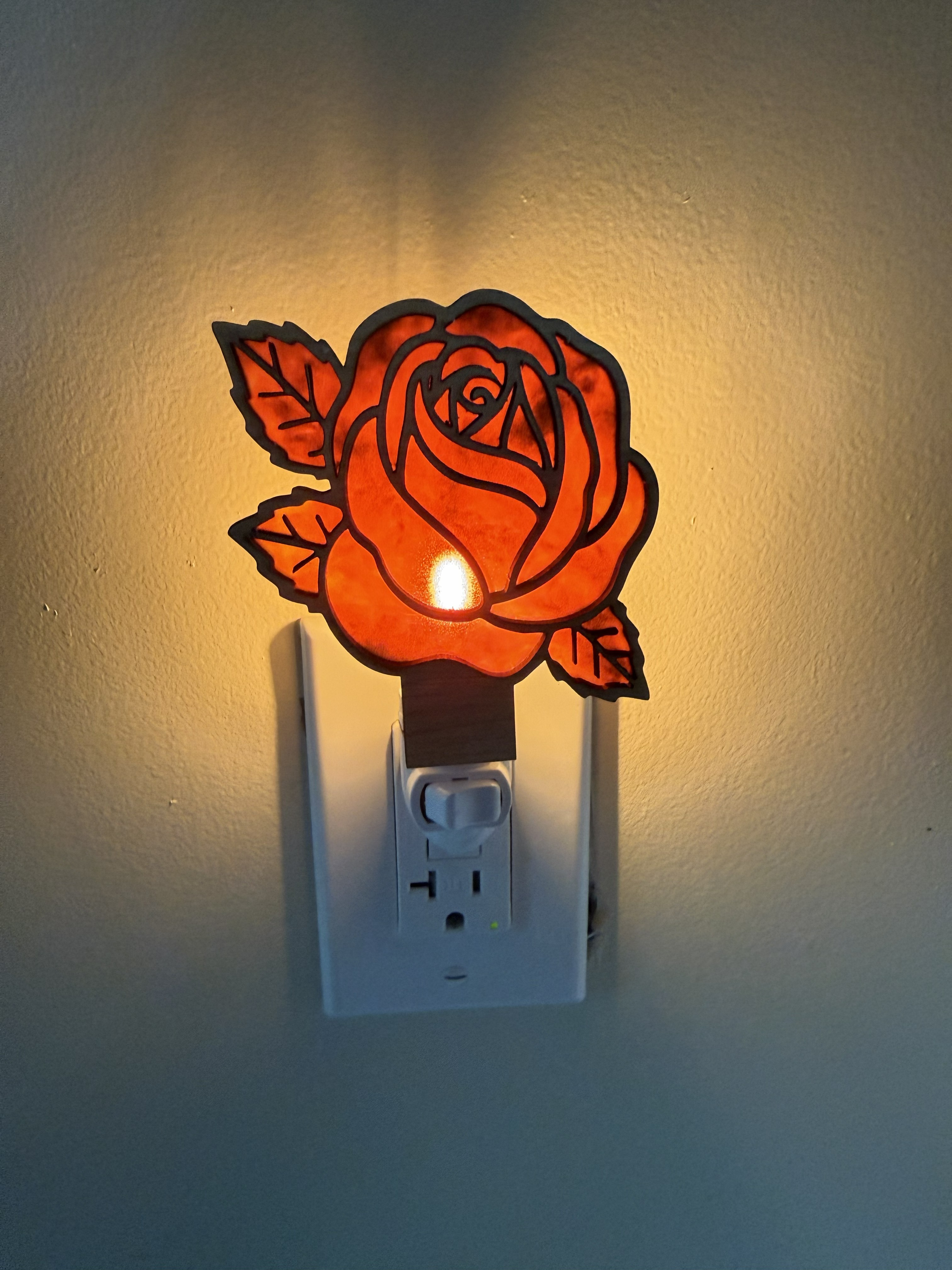Night Light Rose