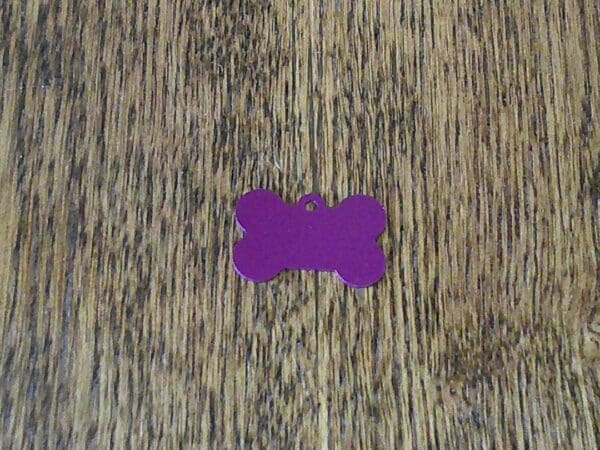 A purple bone on the floor of a room.