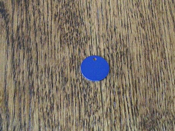 A blue circle on the floor of a room.